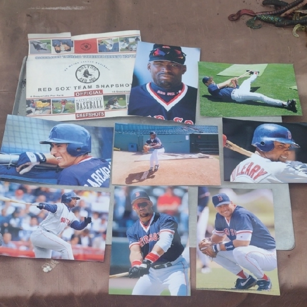 Red Sox Team Baseball Snapshots